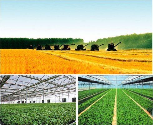 農(nóng)業(yè)新引擎 技術(shù)驅(qū)動(dòng)下的河南農(nóng)業(yè)超越之路