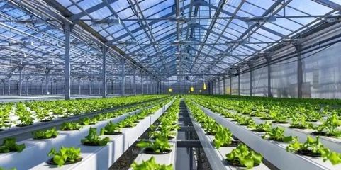 未來已來 探訪5G植物工廠與農(nóng)業(yè)數(shù)字孿生實(shí)驗(yàn)室，揭秘新農(nóng)業(yè)的技術(shù)革命