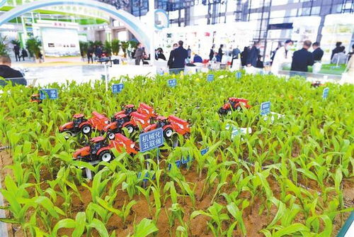 智慧農(nóng)業(yè) 栽培種植技術(shù)的革新與未來開發(fā)路徑