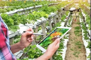 從沙漠到餐桌 牧原股份三大模式創(chuàng)新引領(lǐng)現(xiàn)代農(nóng)業(yè)革命，創(chuàng)始人財(cái)富達(dá)400億